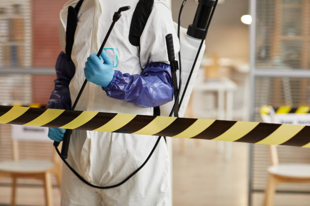 Professional Sewage Cleanup technician working in Cairo, IL